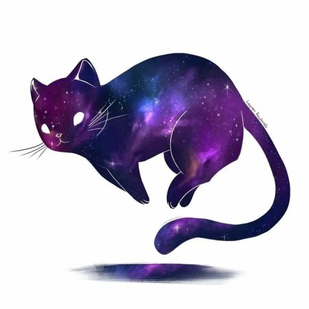 Кот в космосе