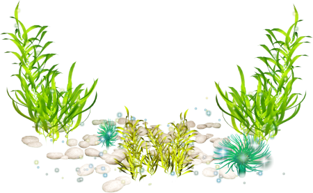 Морские водоросли на прозрачном фоне
