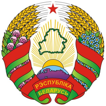 Флаг Беларуси круглый