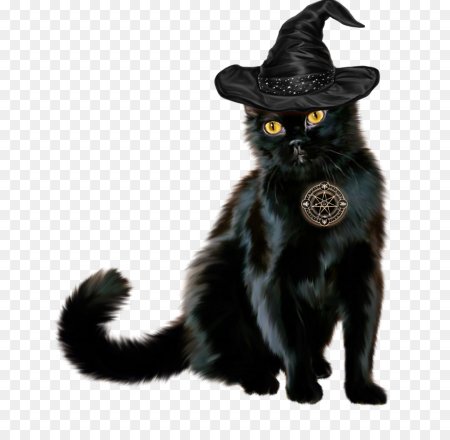 Колдунья с котом