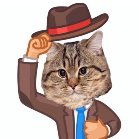 Мое уважение кот