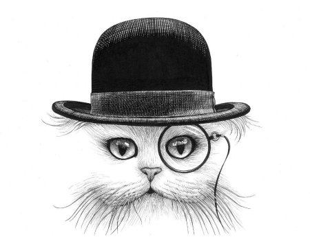Коты в кепках
