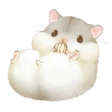 Кавайные морские котики
