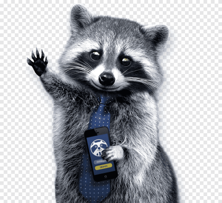 Енотовидная собака