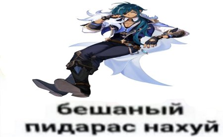 Стикеры с Гань Юй Геншин Импакт