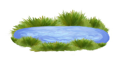 Прозрачная лужа