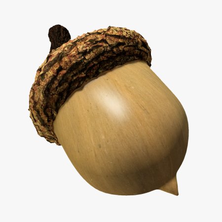 Желудь орех