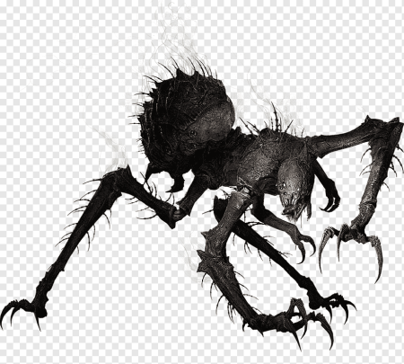 Evolve Stage 2