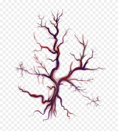 Вены на прозрачном фоне
