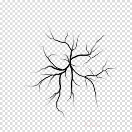Veins texture transparent