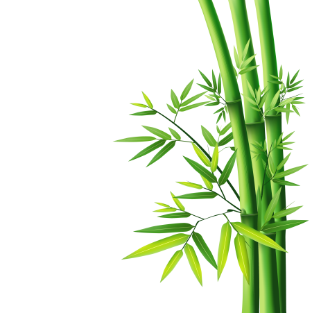 Ветка бамбука