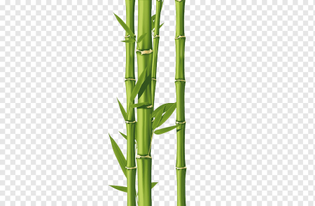 "Bamboo" "Bamboo. Bamboo (LP)"
