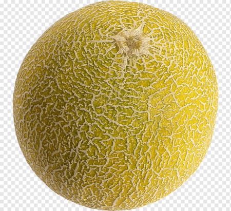 Дыня Honeydew