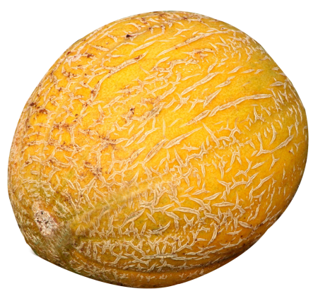 Полиз экинлари