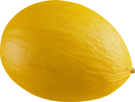 Ломтик дыни
