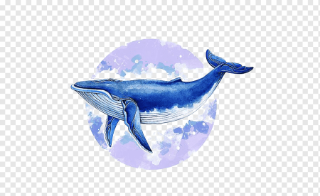 Киты мультяшные