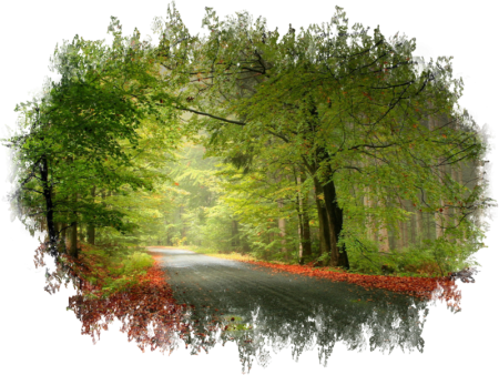 Природа клипарт