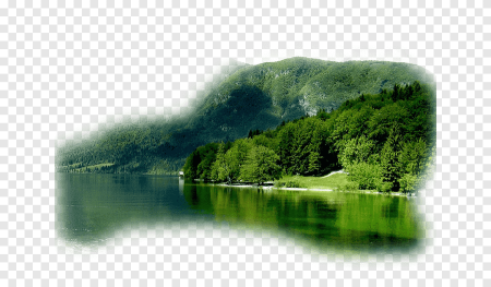 Природа вектор