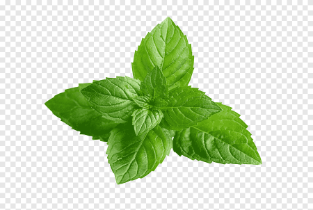 Мята перечная Lemon Mint