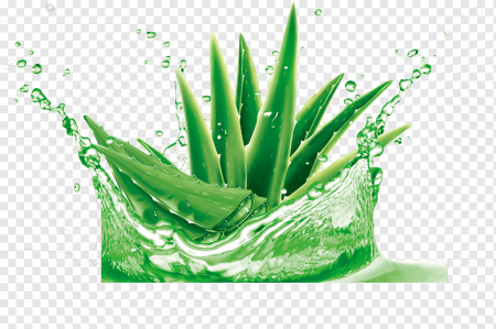 BSV Aloe Vera