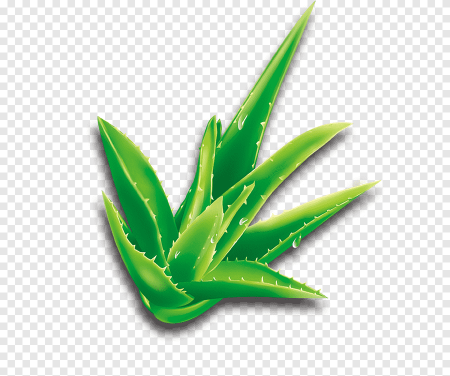 Алоэ Вера Superfood