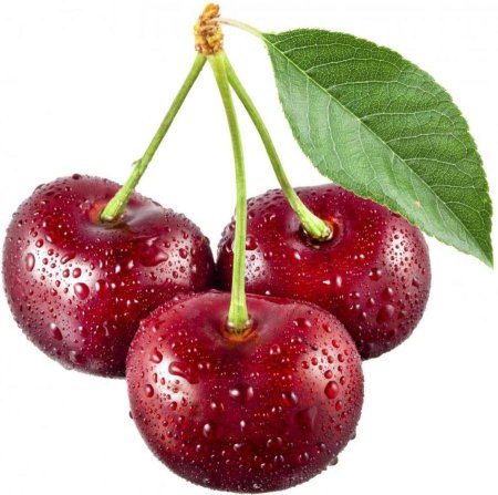 Вишня и черешня