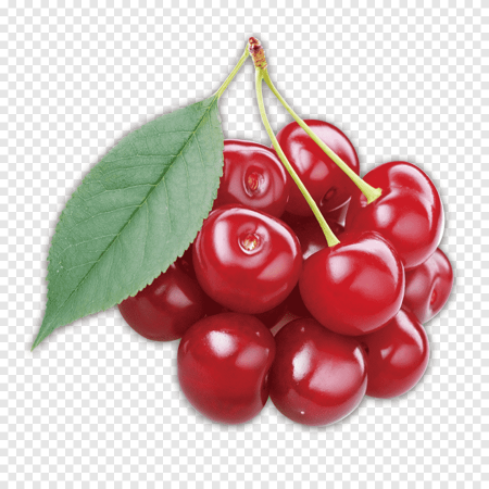 Вишня Лебедянская