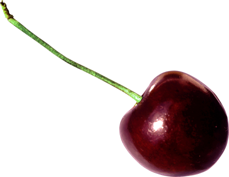 Вишня Cherry (2010