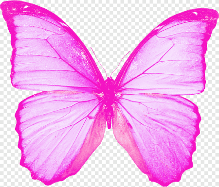 Розовые бабочки