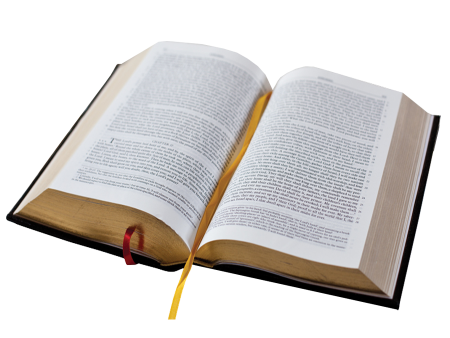 Книга на прозрачном фоне