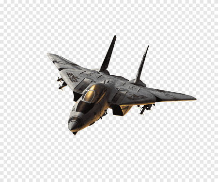 F-14 Tomcat Raptor истребитель