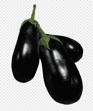Brinjal Eggplant