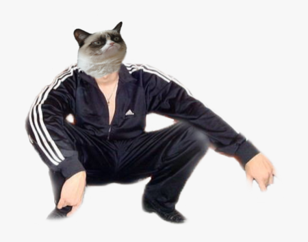 Гопник на прозрачном фоне