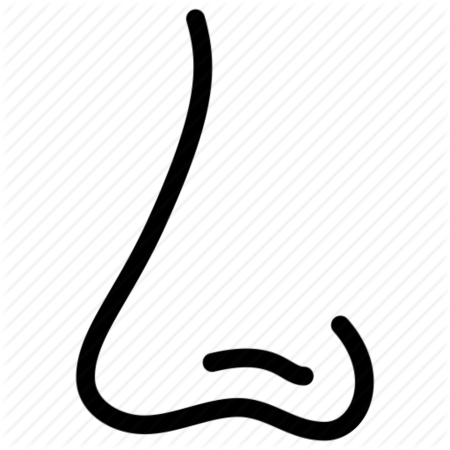 Нос символ