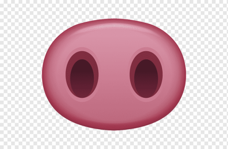 Нос