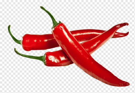 Curved penis