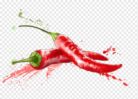 Чили Пеппер (Chili Pepper) Гладиолус