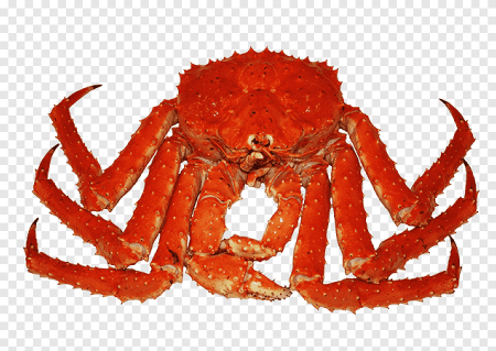 Красный Королевский краб