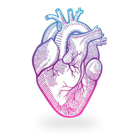 Сердце