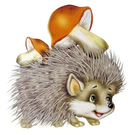 Ежик с грибами