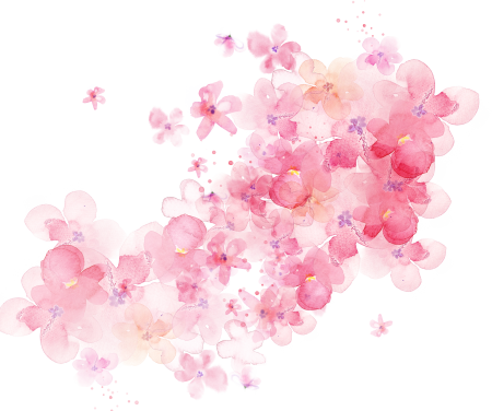 Цветы на прозрачном фоне