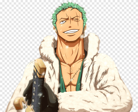 Zoro Full body