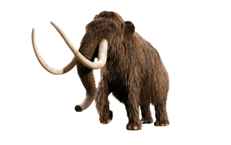 Шерстистый мамонт (Woolly Mammoth)
