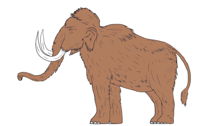 Woolly Mammoth Trumpet