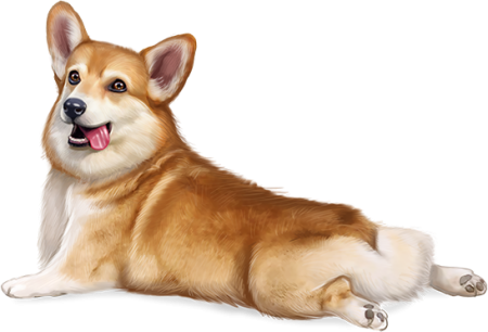 Вельш корги Стикеры