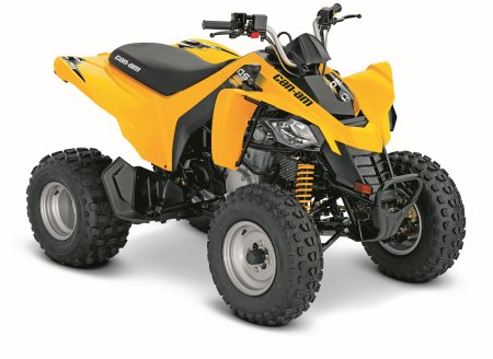 Kawasaki Brute Force 300