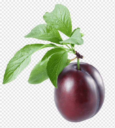 Слива листья