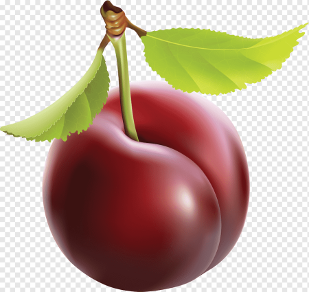 Фрукты клипарт