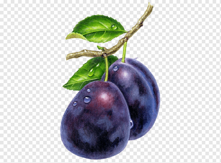 Слива без фона