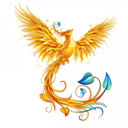 Жар птица на белом фоне